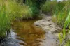 2625 Bylong Valley Way, Rylstone, NSW 2849-Image