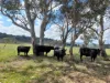 2625 Bylong Valley Way, Rylstone, NSW 2849-Image