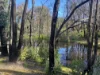 263 Old Yarck Road, Yarck, Vic 3719-Image