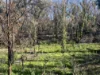 263 Old Yarck Road, Yarck, Vic 3719-Image