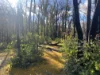 263 Old Yarck Road, Yarck, Vic 3719-Image