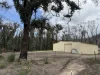 263 Old Yarck Road, Yarck, Vic 3719-Image