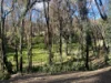 263 Old Yarck Road, Yarck, Vic 3719-Image