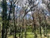 263 Old Yarck Road, Yarck, Vic 3719-Image