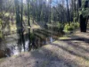 263 Old Yarck Road, Yarck, Vic 3719-Image