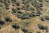 265, Stock Route Road, Morgan, SA 5320-Image