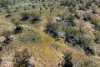 265, Stock Route Road, Morgan, SA 5320-Image