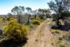 265, Stock Route Road, Morgan, SA 5320-Image