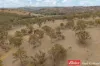2652 Ilford Road, Sofala, NSW 2795