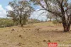2652 Ilford Road, Sofala, NSW 2795-Image