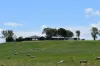 267 Barrie Lane, Homebush, Qld 4740-Image