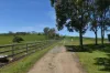 267 Barrie Lane, Homebush, Qld 4740-Image