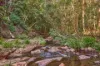 267 Waitui Road, Waitui, NSW 2443-Image
