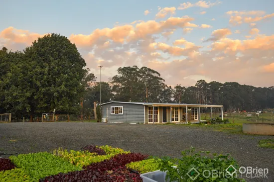 2675 Willow Grove Road, Hill End, Vic 3825
