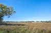 269 Spring Hill Road, Spring Hill, NSW 2800-Image