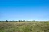 269 Spring Hill Road, Spring Hill, NSW 2800-Image