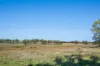 269 Spring Hill Road, Spring Hill, NSW 2800-Image