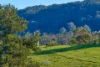 271 Deep Creek Road, Hannam Vale, NSW 2443-Image