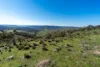 2741 Freemantle Road, Bathurst NSW 2795-Image