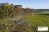 278 Halloran Road, North Arm Cove, NSW 2324-Image