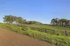 278 Halloran Road, North Arm Cove, NSW 2324-Image