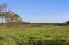 278 Halloran Road, North Arm Cove, NSW 2324-Image