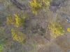 2788 Atkinson Road, Kunwarara QLD 4702-Image