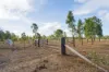 2788 Atkinson Road, Kunwarara QLD 4702-Image