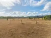 2788 Atkinson Road, Kunwarara QLD 4702-Image