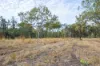 2788 Atkinson Road, Kunwarara QLD 4702-Image