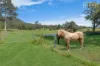 280 Heaton Road, Quorrobolong, NSW 2325-Image