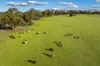 281 Crest Hill Road, Bindoon, WA 6502-Image