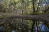281 Crest Hill Road, Bindoon, WA 6502-Image