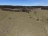 284 Tabulam Road, Lower Bottle Creek NSW 2469-Image