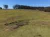 284 Tabulam Road, Lower Bottle Creek NSW 2469-Image