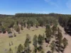 284 Tabulam Road, Lower Bottle Creek NSW 2469-Image