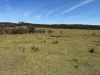 284 Tabulam Road, Lower Bottle Creek NSW 2469-Image