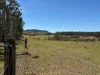284 Tabulam Road, Lower Bottle Creek NSW 2469-Image