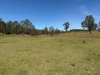 284 Tabulam Road, Lower Bottle Creek NSW 2469-Image