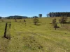 284 Tabulam Road, Lower Bottle Creek NSW 2469-Image