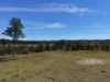 284 Tabulam Road, Lower Bottle Creek NSW 2469-Image