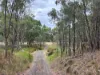 2875 Newell Highway, Rocky Glen NSW 2357-Image