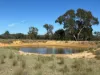 2875 Newell Highway, Rocky Glen NSW 2357-Image