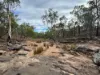 2875 Newell Highway, Rocky Glen NSW 2357-Image