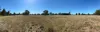 2875 Newell Highway, Rocky Glen NSW 2357-Image