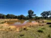 2875 Newell Highway, Rocky Glen NSW 2357-Image