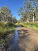 2875 Newell Highway, Rocky Glen NSW 2357-Image
