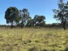 2875 Newell Highway, Rocky Glen NSW 2357-Image
