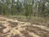 29, Twin Creek Road, Coolatai, NSW 2402-Image