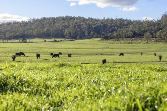 290 Batman Highway, Sidmouth, Tas 7270